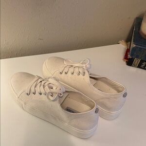 Steve Madden Off-White Canvas Sneakers